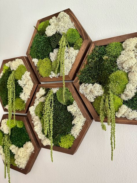 Sheet Moss, Wood Hexagon, Lichen Moss, Reindeer Moss, Moss Wall Art, Deco Nature, Preserved Moss, Moss Wall, Moss Art