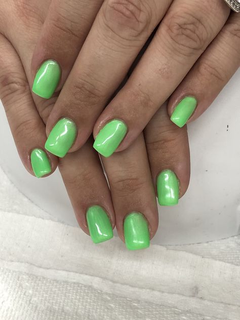 Neon Green Gel Nails  Light Elegance Lime of the Party Green Nails Short, Lime Nails, Gel Nail Light, Lime Green Nails, Emerald Nails, Nails Neon, Neon Green Nails, Nails Elegant, Green Acrylic Nails