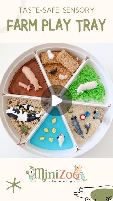 Toy Animal Store | Schleich, CollectA, Papo & more on Instagram: "Ingredients used 👇🏻👇🏻👇🏻  If you struggle with sensory play because it’s never safe for kids who still put things in their mouth… try this!  To create this completely TASTE-SAFE sensory farm play tray, I used:   🦆 Duck pond: gelatin with blue food dye 🐑 Sheep field: cut up spaghetti cooked in green food-dye water 🐄 Cow barn: rolled oats and pepita (pumpkin) seeds 🐓 Chickens: weetbix 🐖 Pigs: muddy oobleck made with 2:1:1 ratio of cornflour, cocoa and water 🐕 Pets with farmer: breadcrumbs  All completely safe to use for sensory play, with no need to worry if you find your little one exploring with their mouth 🙊   🦆SAVE this easy and FUN sensory activity to try with your little ones 🐓  Find all your farm animal to Wash The Muddy Farm Animals, Farm Sensory Tray, Farm Animal Activities For Babies, Farm Sensory Activities, Farm Animals Activities For Toddlers, Farm Animal Activities For Toddlers, Sheep Field, Sensory Basket, Edible Sensory Play