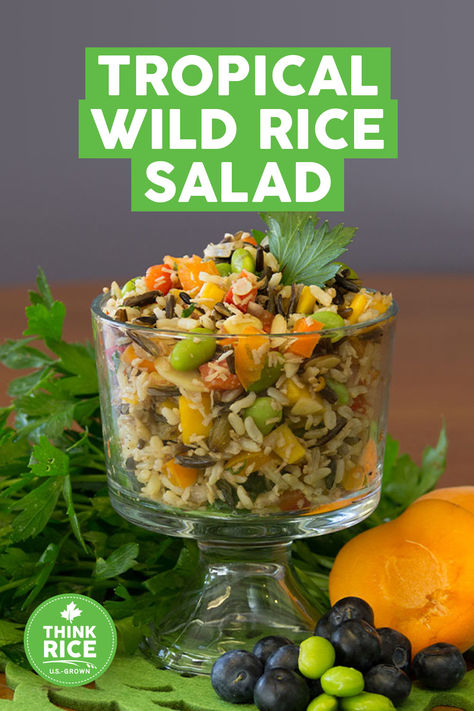 The Tropical Wild Rice Medley is a refreshing summer salad which only requires 2 steps. Using U.S.-grown wild rice, this dish has the nutrients your family needs to stay active and healthy! Healthy Rice Salad, Summer Salad Recipes Healthy, Rice Salad Recipes, Leaf Lettuce, Wild Rice Salad, Lions Den, Fresh Summer Salad, Summer Sides, Quinoa Bowl