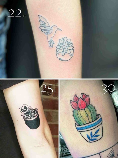 57 Succulent Tattoo Ideas Small, Simple & Minimalist Style - TattooGlee Small Potted Plant Tattoo, Small Succulent Tattoo, Succulent Tattoo Ideas, Tattoo Ideas Small Simple, Violet Flower Tattoos, Succulent Tattoo, Tiny Flower Tattoos, Lace Tattoo Design, Small Succulent Plants