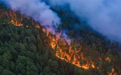 Siberia Fires : The world is changing in the most undesirable way. Forest fire in Amazon, bushfires in Australia have already shown us that climate change is as real as we all are living and breathing. And now the devastating Siberia fires in the northern hemisphere is the new reminder […] The post Siberia Fires, Climate Change is Real and Happening… appeared first on The Hoard Planet. Australia Forest Fire, Australia Forest, Bushfires In Australia, Arctic Region, Coldest Place On Earth, Summer Temperature, Satellite Image, University Of Miami, Forest Fire