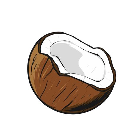 Drawing Ideas Summer, Coconut Cartoon, Summer Drawing Ideas, Coconut Vector, Shell Drawing, Best Drawing Ideas, Summer Drawings, Best Drawing, Drawing Vector