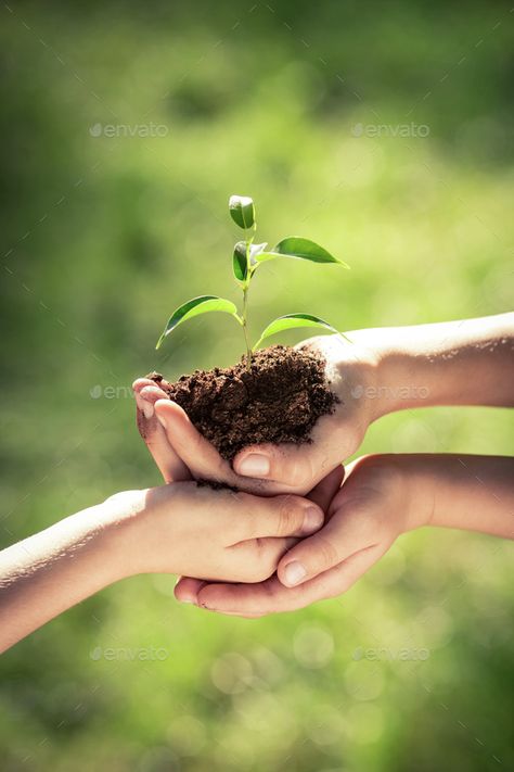 Save Trees, Hand Photography, Spring Background, Environment Day, World Environment Day, Green Earth, Plant Wallpaper, Green Spring, Room With Plants