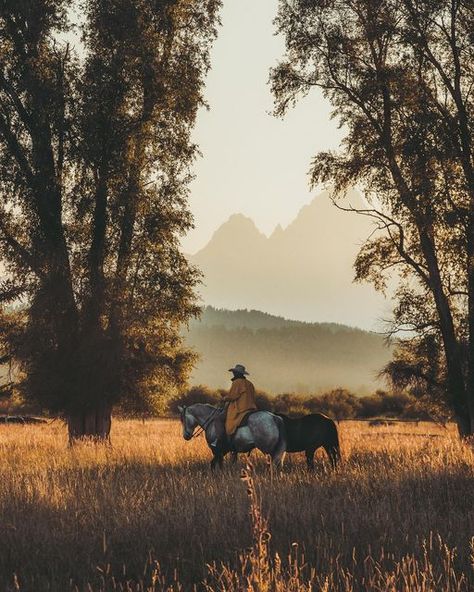 Aether Art, Diamond Cross Ranch, Cowboy Lifestyle, Ranch Cowboy, Jackson Hole Wy, Animal Photos, Diamond Cross, Jackson Hole, Cute Animal Photos