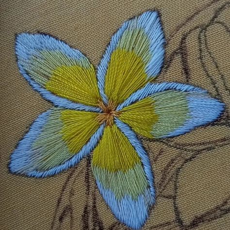 🌼🌼🌼🪡🧵 #flowerembroidery #embroidered #floralembroidery #handembroidered #embroidery #embroiderylove #needlework #plumeria Diy Embroidery Designs, Hand Embroidery Design, Flower Embroidery, Hand Embroidery Designs, Diy Embroidery, Embroidery Flowers, Embroidered Flowers, Floral Embroidery, Hand Embroidered