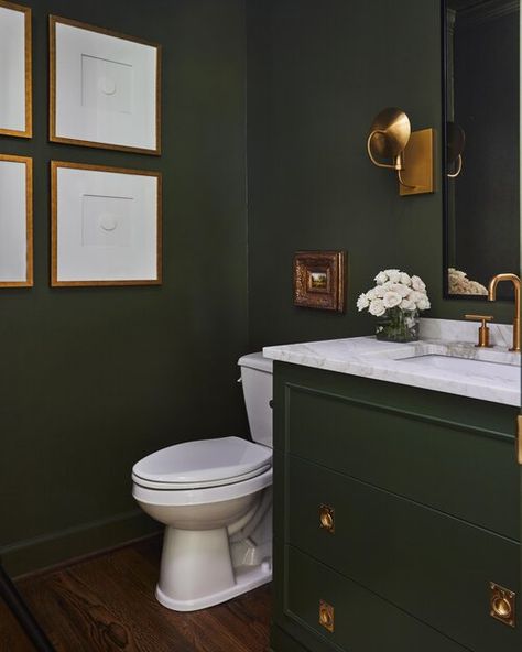 Surrey — River Brook Design & Construction Green Powder Room, Olive Green Bathrooms, Green Bathroom Paint, Transitional Powder Room, Dark Green Bathrooms, Green Bathroom Vanity, Green Vanity, Purple Bathrooms, Hgtv Dream Home