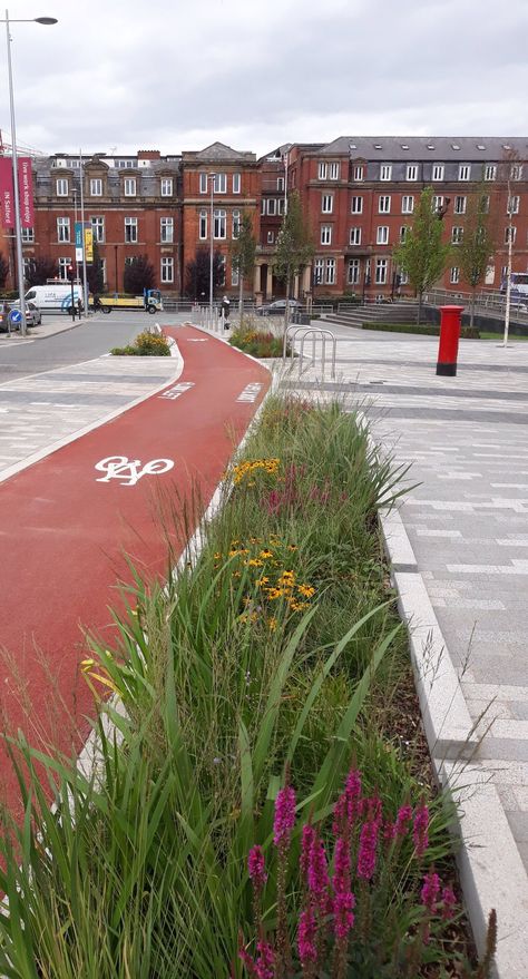 Streetside Landscaping, Streetscape Design, Landscape Architecture Plan, Water Architecture, Urban Design Plan, Urban Landscape Design, Bike Lane, Green Street, Landscape And Urbanism