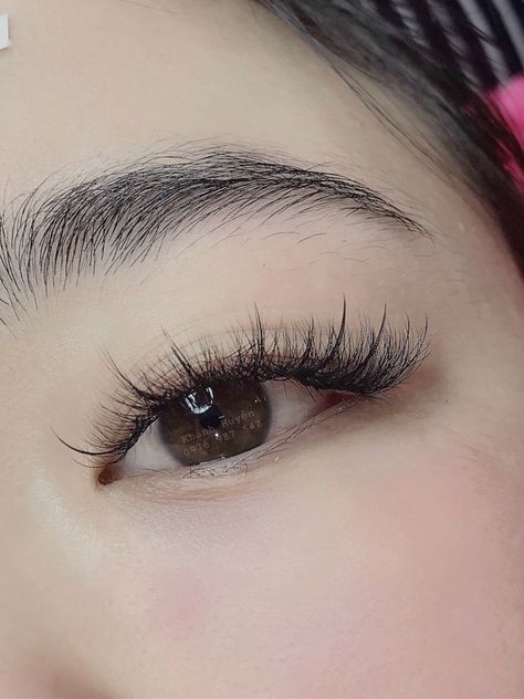 Asian Cat Eye Lash Extensions, Natural Eyelash Extensions Asian Eyes, Eyelash Extension Asian Eyes, Eyelash Extensions Styles For Asian Eyes, Lash Extensions For Asian Eyes, Natural Lash Extensions Asian Eyes, Eyelash Extensions Asian Eyes, Monolid Eyelash Extensions, Korean Lash Extensions