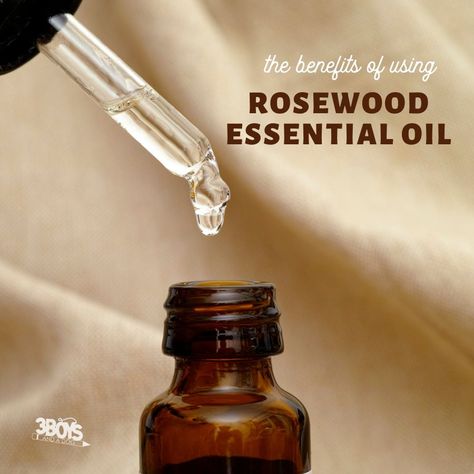 Now is a great time to learn the benefits of Rosewood Essential Oil. Find out how to use this oil daily to help with skin, stress, and more. Check out these Best Essential Oils for Beginners for more tips and tricks. Once you learn to use Rosewood Essential Oil daily, you’ll want to expand your … Essential Oils For Beginners, Rosewood Essential Oil, Natural Disinfectant, Steam Distillation, Calming Scents, Best Essential Oils, Wellness Routine, Muscle Relaxer, Carrier Oils