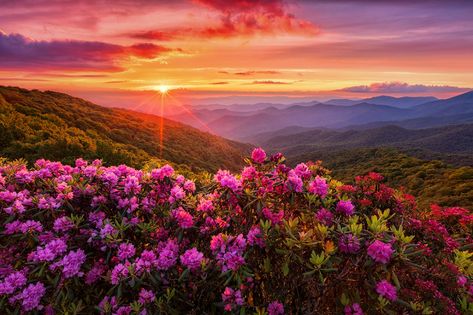 Latest Tweets / Twitter Flower Background Laptop, Pink Sky Landscape, Mountain Summer, Scenic Pictures, Cute Summer Wallpapers, The Appalachian Trail, Sky Landscape, Amazing Sunsets, Summer Landscape