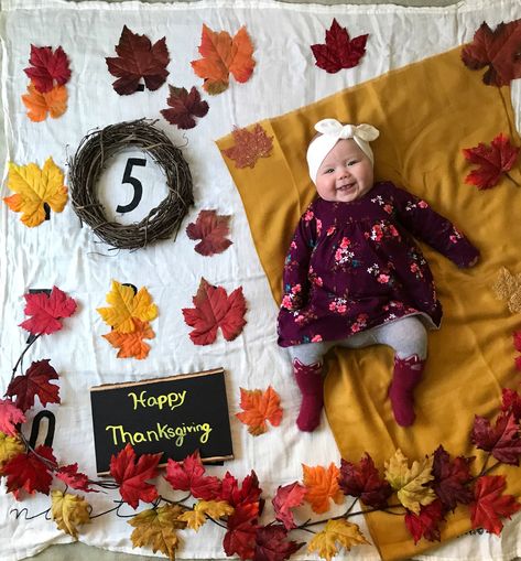 5 Months Baby Photoshoot Ideas, 5 Month Baby, 4 Month Baby, Photo Halloween, Baby Milestones Pictures, Monthly Pictures, Monthly Baby Pictures, Milestone Pictures, Chunky Babies