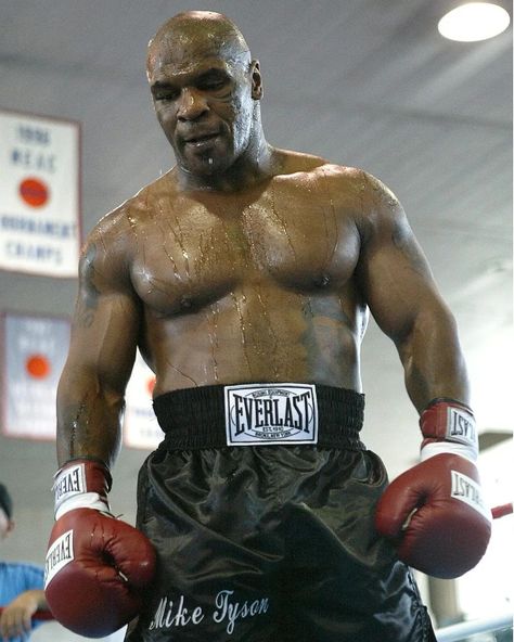 Mike Tyson Pfp, Mohamad Ali, Boxing Legends, Mike Tyson Boxing, Arnold Schwarzenegger Bodybuilding, Schwarzenegger Bodybuilding, Boxing Images, Iron Mike, Boxing Videos