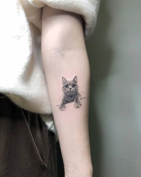 Tattoos Of Cats, Cat Tattoo Sleeve, Straight Tattoo, Small Tattoo Simple, Tattoo Sleeve Women, 9 Tattoo, Ray Tattoo, Tattoo Cute, Tier Tattoo