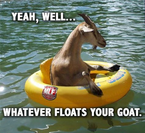 Yeah, well.... Whatever floats your goat. Goat Picture, Animal Puns, A Goat, Funny Animal Pictures, Animal Memes, Bones Funny, Funny Photos, Funny Cute, Puns