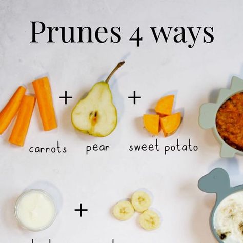 Annabel Karmel on Instagram: "4 WAYS WITH PRUNES 🤎  Looking for a natural way to help your baby with bowel movements? Prunes might be just what you need!   You can introduce pitted prunes to your little one as early as 6 months. Packed with sorbitol and fibre, prunes can help soften stools and promote regularity. Perfect for easing constipation and keeping those tiny tummies happy! 💩👶  Here are some of my top prune puree combos:⁠ ⁠ 1️⃣ Prune, Carrot, Pear & Sweet Potato ⁠ 2️⃣ Prune, Yoghurt & Banana  ⁠ 3️⃣ Prune, Pear & Apple  ⁠ 4️⃣ Dairy-Free Porridge with Prunes & Dried Apricots   #blwideas #blwrecipes #blwinspiration #weaning #baby #parenting #love #puree #prunes #weaningjourney #weaningideas #annabelkarmel #easyrecipes #quickrecipes" Pear Puree Combinations, Prune Puree Baby, Sweet Potato Puree Combinations, Prune Puree, Yoghurt Banana, Weaning Baby, Baby Food Combinations, Baby Solid Food, Baby Meals