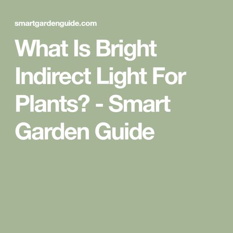 What Is Bright Indirect Light For Plants? - Smart Garden Guide Bright Indirect Light, Light Meter, Smart Garden, Iron Plant, Garden Guide, Plant Lighting, Led Grow, Led Grow Lights, Snake Plant