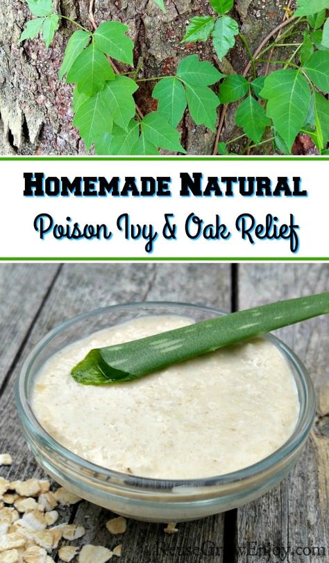 While spending some time outdoors in the nice weather did you run into poison ivy or poison oak? If you did I am sure you are itching like crazy! I am going to show you how to make my Homemade Natural Poison Ivy Relief. Poison Oak Remedies How To Get Rid, Poison Oak Remedy, Poison Ivy Relief, Poison Ivy Remedies, Bug Repellant, Poison Oak, Random Tips, Holistic Health Remedies, Garden Solutions