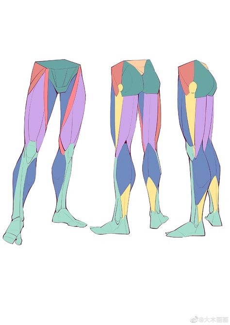 Leg Muscles Anatomy, How To Draw Muscles, Leg Reference, Leg Anatomy, Drawing Legs, Human Body Drawing, Anatomy Tutorial, Human Anatomy Drawing, Muscle Anatomy