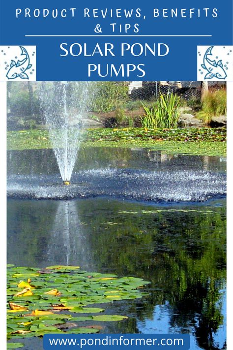 Solar Pond Pump Water Garden, Solar Pond Aerator, Solar Pond Pump, Solar Pond Fountain, Farm Pond Landscaping Country Life, Farm Pond Ideas, Pond Deck Ideas, Pond Fountain Ideas, Farm Pond Landscaping