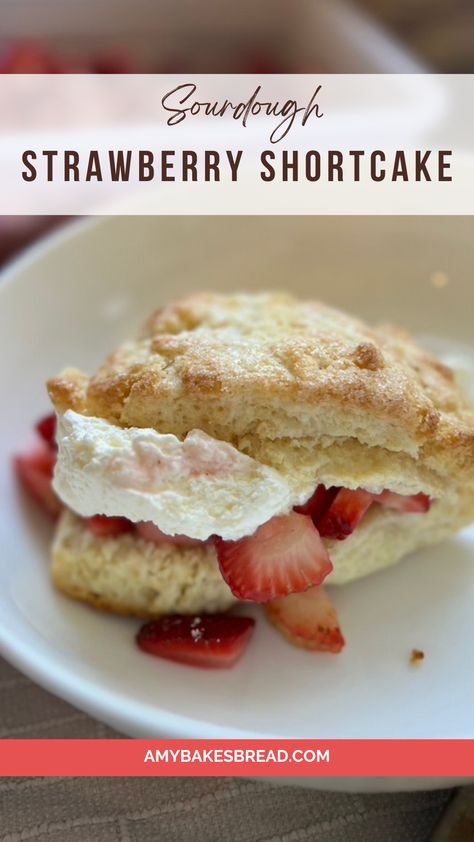 Strawberry Shortcake Sourdough, Sourdough Shortcake Recipe, Sourdough Discard Strawberry Shortcake, Sourdough Discard Shortcake, Sourdough Strawberry Shortcake, Sourdough Shortcake, Sourdough Discard Dessert, Sourdough Dessert Recipes, Sourdough Pastries