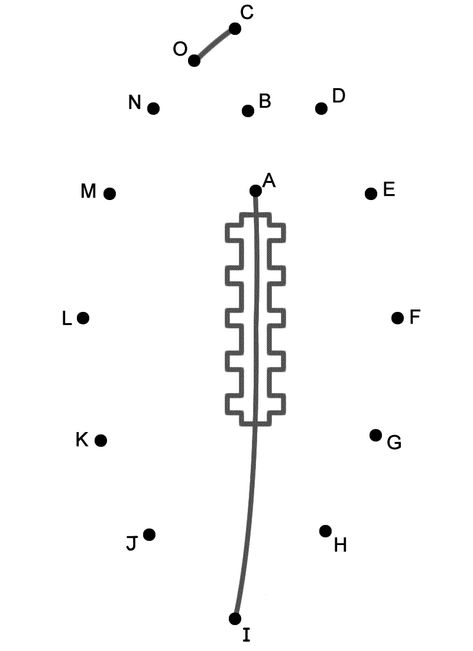 Football - Connect the Dots by Capital Letters (Super Bowl) Football Worksheets Preschool, Football Worksheets For Kids, Super Bowl Pictures, Dot To Dot Puzzles, Scramble Words, Holiday Worksheets, Dot Letters, Connecting The Dots, Football Crafts