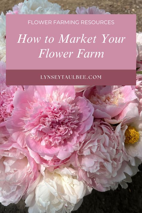 Flower Farming Business, Backyard Flower Farm, Farm Planning, Farm Marketing, Peony Farm, Flower Farms, Cut Garden, Growing Cut Flowers, Candy Cups