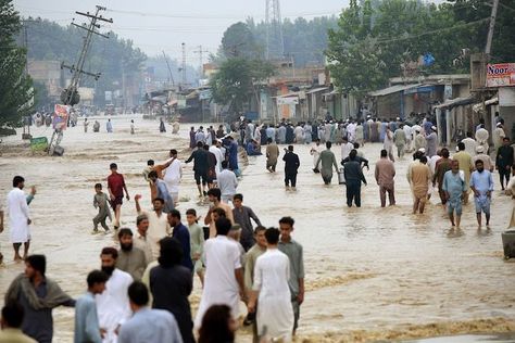 Due to climate change, Pakistan's terrain has transformed since mid-June as a result of severe rain, flooding communities and farms, and demolishing homes. #PakistanFloods #FinanceMinister #GeneralAntónioGuterres #Agreement #WashingtonPost #ClimateChange Flood In Pakistan, Monsoon Rain, Khyber Pakhtunkhwa, Rich Country, Flood Damage, Social Activist, People Running, Extreme Weather, The Guardian