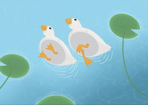 Duck Pc Wallpaper, Duck Wallpaper Ipad, Duck Wallpaper Laptop, Duck Desktop Wallpaper, Ducks And Frogs, Funny Ducks, Flowers To Draw, Cute Easy Paintings, Random Animals