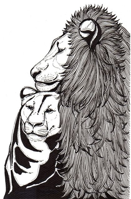 Lion Couple - drawing ...by Pookun Trichomwaree Lion Couple Drawing, Ball Pen Sketch, Lion Couple, Majestic Lion, Couple Drawing, Scene Drawing, Pen Sketch, Couple Drawings, Pen Art