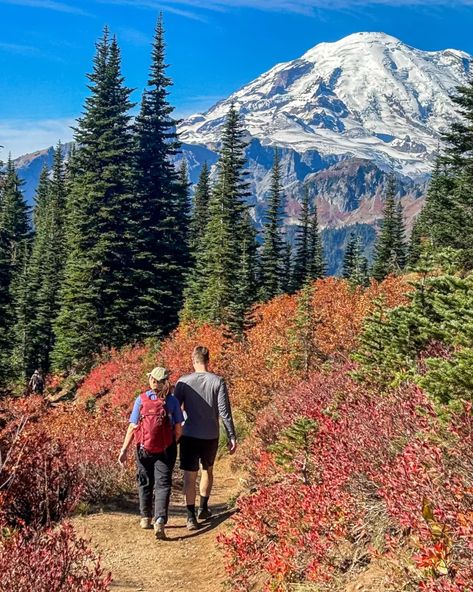 Visit the rugged Pacific Northwest in autumn and surround yourself with golden larches. Find out the 5 best Fall hikes in Washington. These hikes sit in the gorgeous mountain landscapes of Mount Rainier, Mount Baker, and the North Cascades. You will be astounded at the incredible fall foliage in these picturesque landscapes! Get all of the best tips on hiking in Washington in Fall and find out what you can't miss. Pacific Northwest Fall, Pacific Northwest Hiking, Fall Date Ideas, Wine And Paint Night, Fall Hikes, Mount Baker, Photo Scavenger Hunt, Washington Hikes, Fall Dates