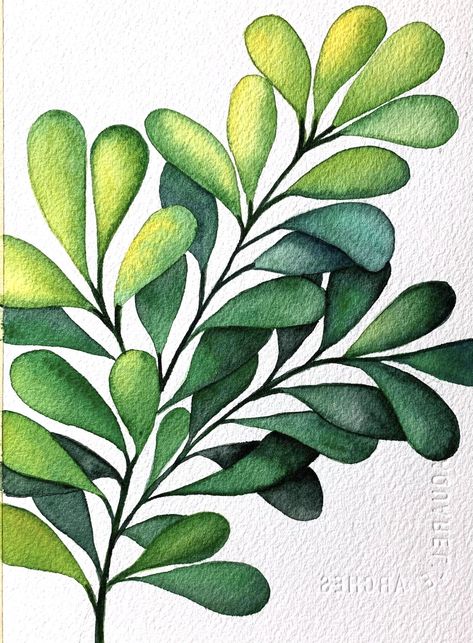 Watercolor Leaves Painting, Paintings Of Leaves, Green Leaves Painting, Leaves Pictures, Foliage Painting, Drawing Leaves, Leaf Paintings, Leaves Drawing, Painting Leaves