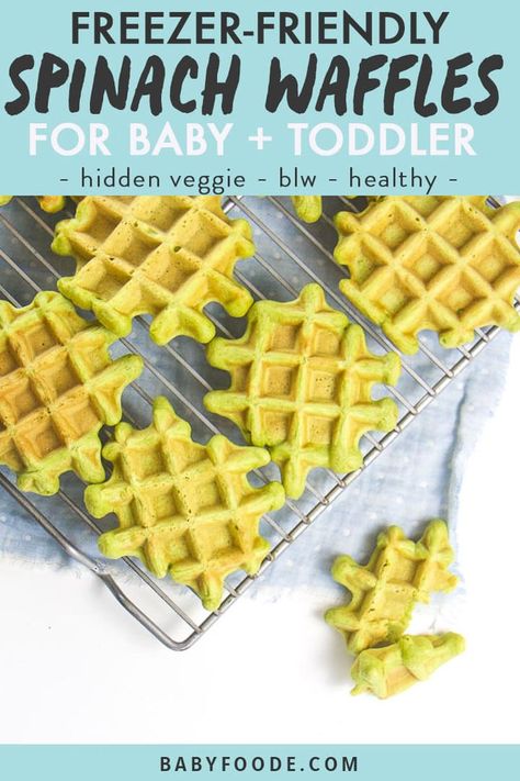 Waffles For Baby, Breakfast For Baby, Spinach Waffles, Green Waffles, Toddler Breakfast Recipes, Dinner Waffles, Weaning Baby, Waffle Maker Recipes, Kid Recipes