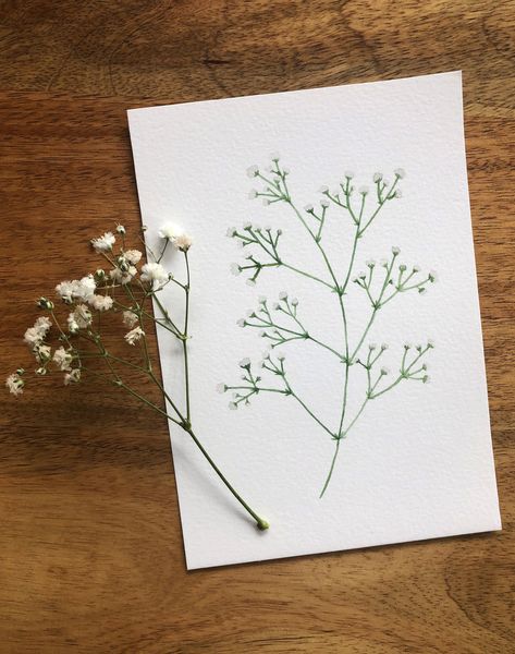 Hand-painted original using watercolour paints on watercolour cold pressed 300gsm paper. This delicate painting would be an amazing gift for your loved one! The size of this painting is 5" x 7", which makes it easy to find the perfect frame! *Please note that this is an original item and not a print* Gypsophila Painting, Dainty Flower Painting, January Flowers, Sourdough Scoring, Gypsophila Bouquet, Gypsophila Flower, Baby Dresser, Palliative Care, Watercolor Bookmarks