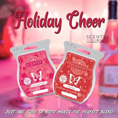 Fragrance Recipes, Scentsy Mixers, Scentsy Posts, Scentsy Mixology, Scentsy Christmas, Scentsy Recipes, Scent Combos, Prosecco Bar, Best Wax Melts