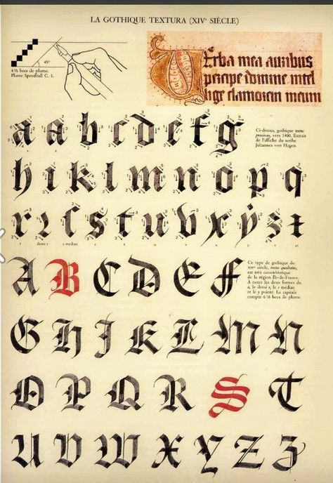 Font #font fonts #fonts blackletter fonts #blackletterfonts blackletter font #blackletterfont 5.16 Browse the commercial free fonts classified as blackletter. Cool Caligraphy Alphabet Fonts, Medieval Writing Fonts, Gothic Lettering Calligraphy Alphabet, Lettering Alphabet Calligraphy, Gothic Calligraphy Alphabet, Historical Fonts, Calligraphy Writing Styles, Alphabet Calligraphy, Gothic Calligraphy