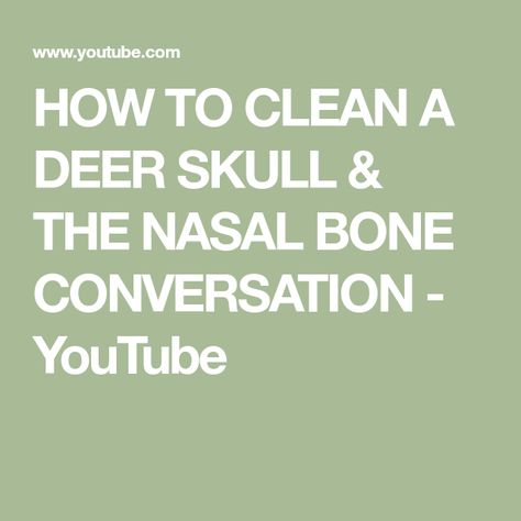 HOW TO CLEAN A DEER SKULL & THE NASAL BONE CONVERSATION - YouTube European Mounts, European Mount, Deer Skull, Deer Skulls, Wild Game, Beautiful Memories, A Deer, Bones, Deer