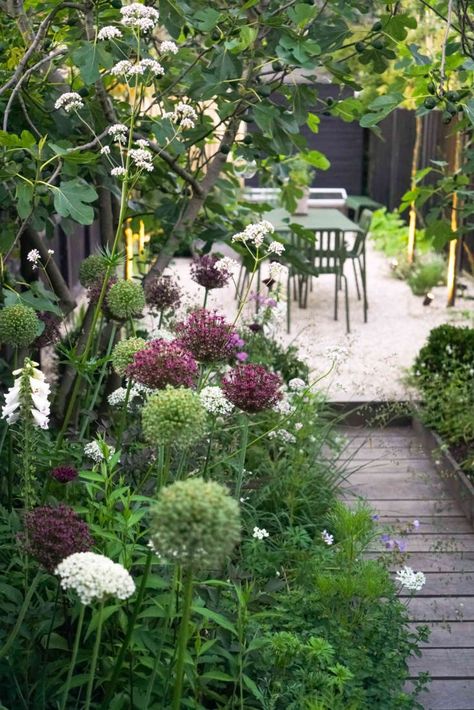 English Garden Design, Seaside Garden, Backyard Gardening, Coastal Gardens, Garden Types, Have Inspiration, The Secret Garden, Plants And Flowers, Small Garden Design