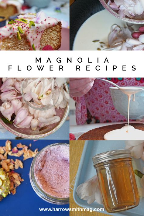 Enjoy Harrowsmith's collection of 5 flavourful recipes using magnolia blossoms. Magnolia Flower Cake, Magnolia Jelly Recipe, Flower Jelly Recipes, Magnolia Flower Recipes, Peony Recipes, Herbal Baking, Magnolia Recipe, Magnolia Recipes, Flower Recipes