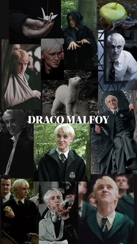 Draco Malfoy Collage, Hot Draco, Harry Potter Fan Theories, Slytherin Quotes, Draco Malfoy Imagines, Slytherin Boys, Draco Malfoy Aesthetic, Best Riddle, Lucius Malfoy