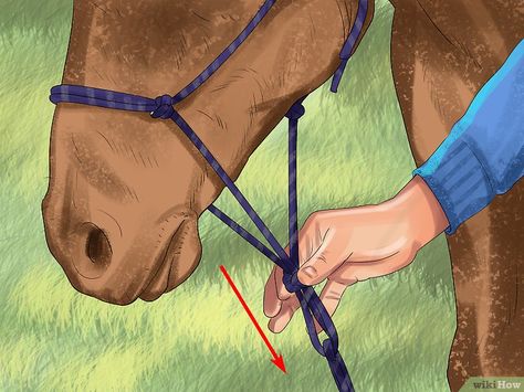 Natural Horsemanship Training, Horse Facts, Horse Info, Natural Horsemanship, Horse Rescue, Riding Lessons, Horse Shirt, Horse Training, Horse Care