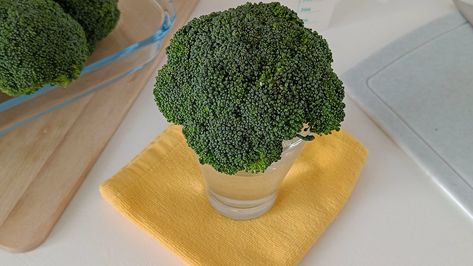 3 Ways to Keep Broccoli Fresh - wikiHow Fresh Broccoli, Smart Storage, Broccoli