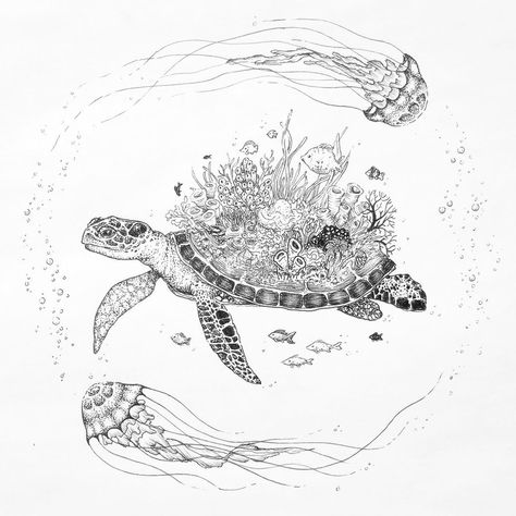 Turtle reef and jelly fish. ink on paper. ink drawing Turtle Sketch, Jellyfish Drawing, Turtle Drawing, Black And White Art Drawing, Turtle Tattoo, Fantasy Drawings, Turtle Art, Jelly Fish, Time Tattoos