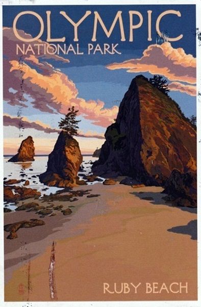 USA - Washington | Zonerama.com Olympic National Park Washington, Graphic Design Styles, Dynamic Art, Wood Postcard, Chef Cooking, Rocky Shore, Outdoor Stickers, House Art, Olympic National Park