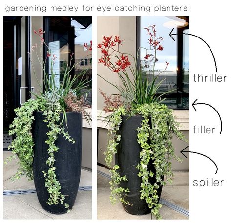 Gardening Formula for Tall Planters | Centsational Style Tall Planters Front Door, Tall Potted Plants, Front Door Planters, Porch Plants, Porch Planters, Planters For Sale, Potted Plants Outdoor, Resin Planters, Flower Pots Outdoor