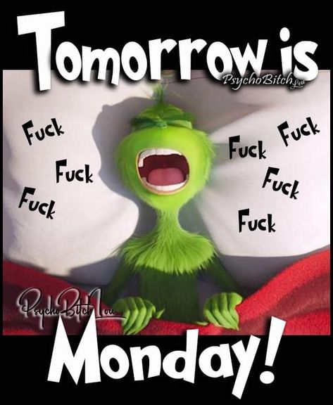 Mood Humour, Grinch Memes, Grinch Images, Funny Mean Quotes, Der Grinch, Grinch Quotes, Funny Day Quotes, Good Morning Sweetheart Quotes, Monday Humor