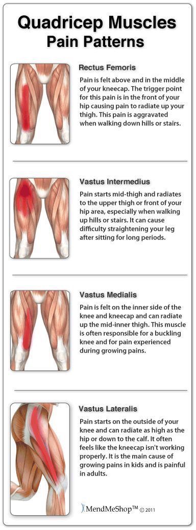 Thigh Muscle Pain, Psoas Iliaque, Muscles Anatomy, Psoas Release, Anatomy Physiology, Psoas Muscle, Muscle Anatomy, Thigh Muscles, Sports Massage