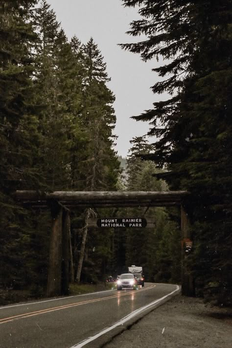 Pnw Aesthetic, Twilight Vibes, Couture Photography, Twilight Aesthetic, Dark Naturalism, Mount Rainier National Park, After Life, Elopement Wedding, Love Stories