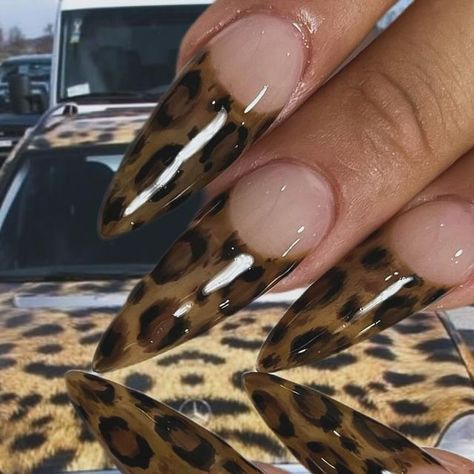 Gatito B on Instagram: "cheetah gyal 🍷🫦 Hand painted Prrrrrr prrr" Cat Eye Leopard Nails, Halloween Cheetah Nails, Purple Cheetah Print Nails, Cheetah Accent Nails, Chetta Nails, Cheetah Toes, Leapord Nails Acrylic, Leopard Acrylic Nails, Cheetah French Tip