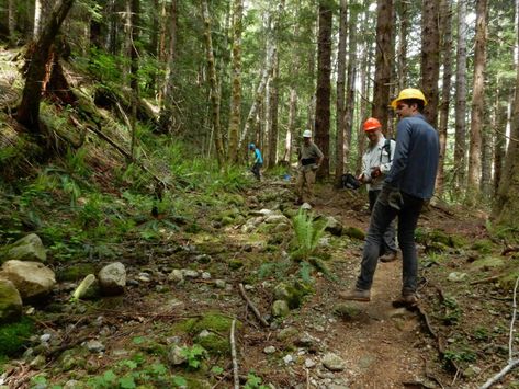 Natural Outdoor Playground, Trail Building, Getting Work Done, Trail Life, Weekend Hiking, Thru Hiking, Work Site, White Mountains, Outdoor Playground